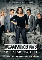 Закон и порядок. Специальный корпус (1999) смотреть онлайн в HD