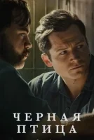 Чёрная птица (2022) смотреть онлайн в HD